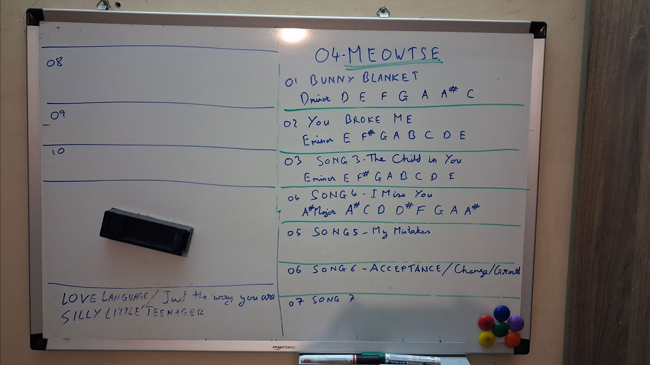 Album 04 Meowtse Blog